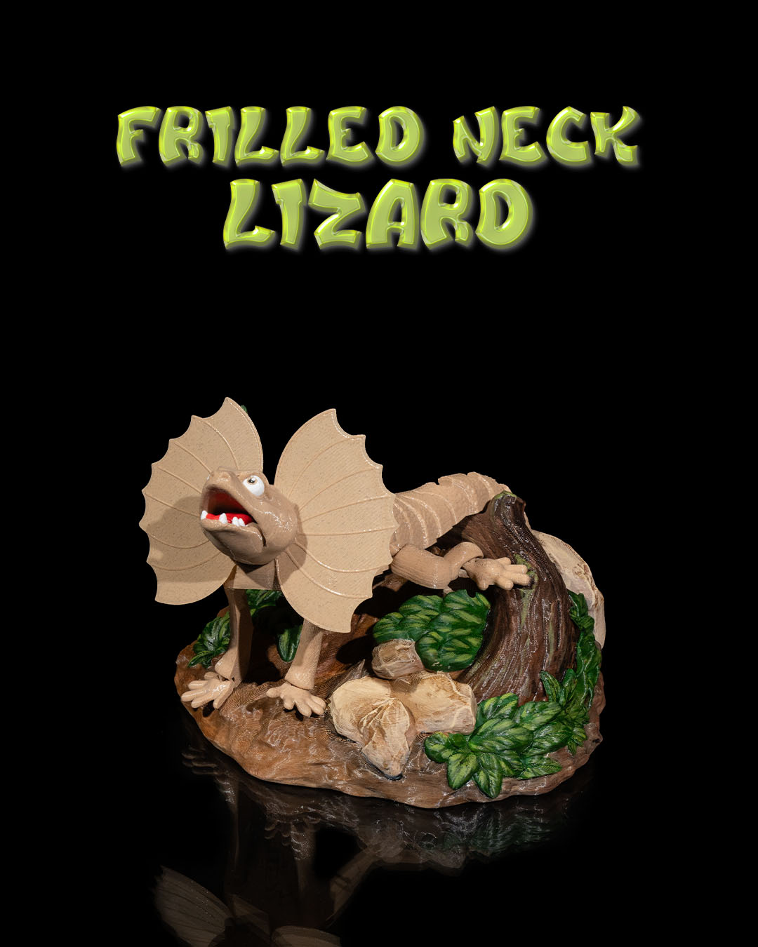 Frilled Neck Lizard
